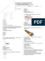 Evaluacion Celulas Nerviosas