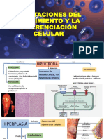 Adaptaciones Del Crecimiento y La Diferenciación Celular