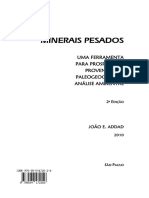 Minerais Pesados - Heavy Minerals PDF