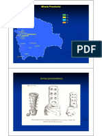 Metalogenia Bolivia