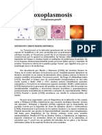 Toxoplasmosis Corregido