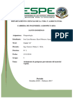 Informe de Fitopatologia