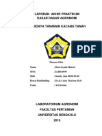 Laporan Akhir Praktikum Dasgron Wafi