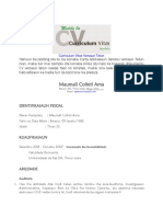 Curriculum Vitae Versaun Tetun