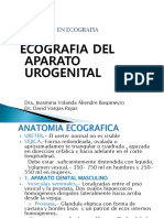 Ecografia Urogenital - Prostata