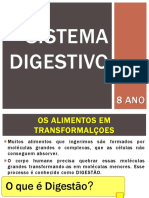 Sistema Digestivo