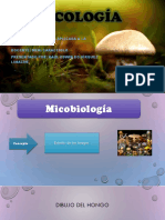 Micología