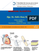 Clase 6 - Transporte de Membrana