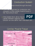 Conduction System of The Heart PPT 2