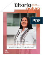 Consultoría Ciclo 14 PDF