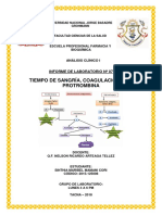 Informe #07 - T. Sangria, T. Coagulacion y TP