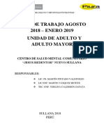 Plan de Trabajo Ag-St Adulto y Adulto Mayor