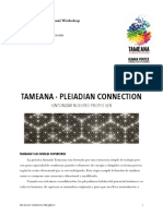 Manual Tameana 2 PDF