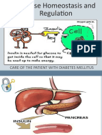 NR 325 Diabetes Power-Student Copy1118