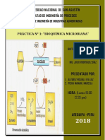 Practica-N° 1 - Corregida-Bioquimica-Microbiana-1