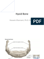 Hyoid Bone