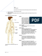 Lymphatic System