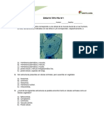 Ensayo Biología 1 Medio PSU
