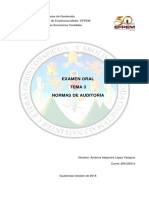 Tema 3 Normas de Auditoría