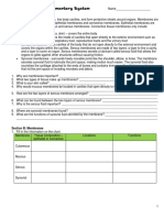 Integumentary System Worksheet