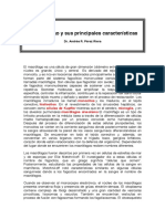 El Macrófago y Sus Principales Características