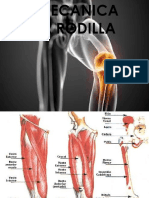 Biomecanica de La Rodilla y Cadera