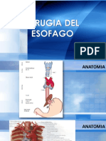 Cirugiadelesofago PDF