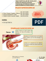 Enzimas Pancreaticas