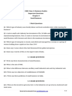 CBSE Class 11 Business Studies Important Questions Small Business