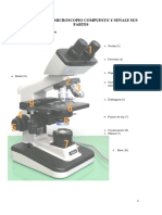 Esquema Del Microscopio Compuesto y Señale Sus Partes