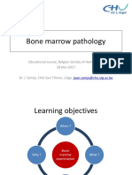 Bone Marrow Pathology 2 PDF