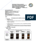 Determinacion de Cuerpos Cetonicos