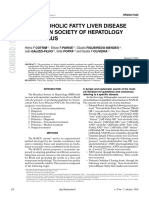 Brazil - NAFLD Consensus Paper