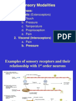 Sensory Receptors