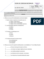 Prueba Cuerpo Humano