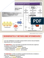 Bioenergetica: William Benjamin Ruiz Chang