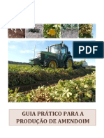 Guia Pratico Pra Producao de Amendoim