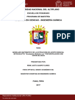 Rene Justo Quispe Flores PDF