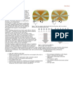 Phased Array Antenna: Advantages Disadvantages