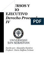 Recursos y Juicio Ejecutivo PDF