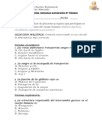 Evaluación Ciencias Naturales 8º Básico Los Sistemas Del Cuerpo Humano