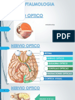 Nervio Optico PDF