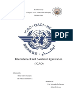 International Civil Aviation Organization (ICAO)