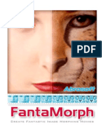 Fanta Morph 4