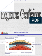 Interpretacion de Registros Geofisicos