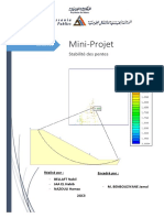 Rapport Mini Projet - Stabilité Des Pentes