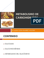 Metabolismo de Carbohidratos