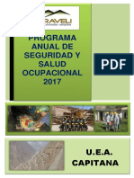 Prog. Anual de Seg. Salud Trabajo 2017 Caraveli