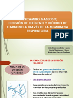 Grupo 3 - Intercambio de Gases y Transporte de Oxigeno y Dioxido de Carbono en Sangre y Liquidos Tisulares