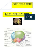 Os Sphenoide